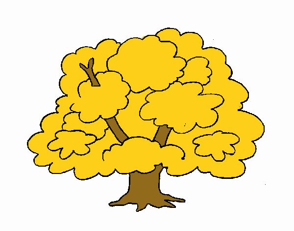 Árbol