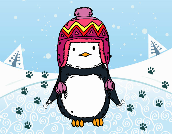 Bebé pingüino con gorrito