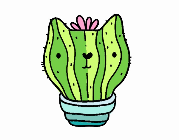 Cactus gato