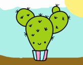 Cactus nopal