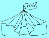 Circo