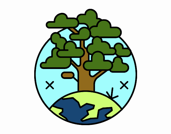 Circulo árbol 