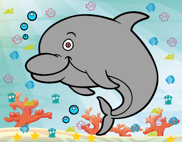 Delfín de Nico