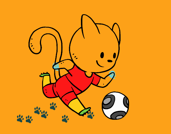 Gato jugando a fútbol