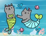 Gatos sirena