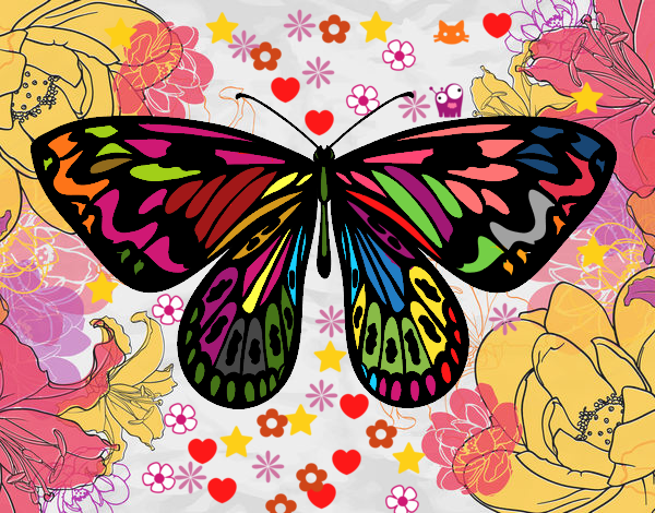 Mariposa de colores