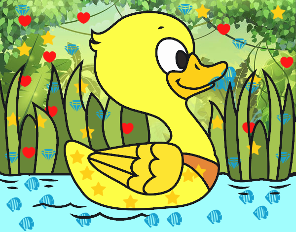 Patito de río