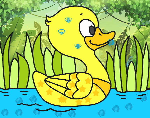 Patito de río