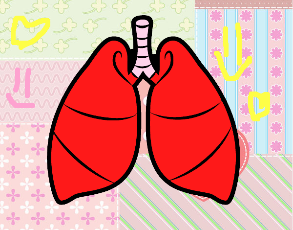 Pulmones