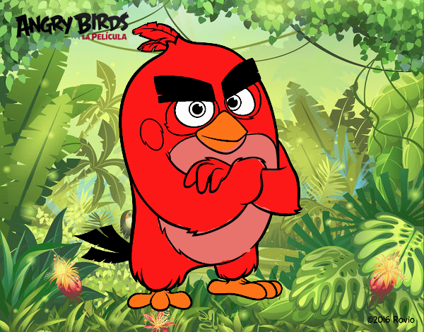 Red de Angry Birds