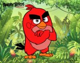 Red de Angry Birds