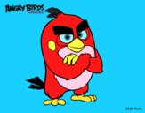 Red de Angry Birds