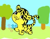 Tigre bebé
