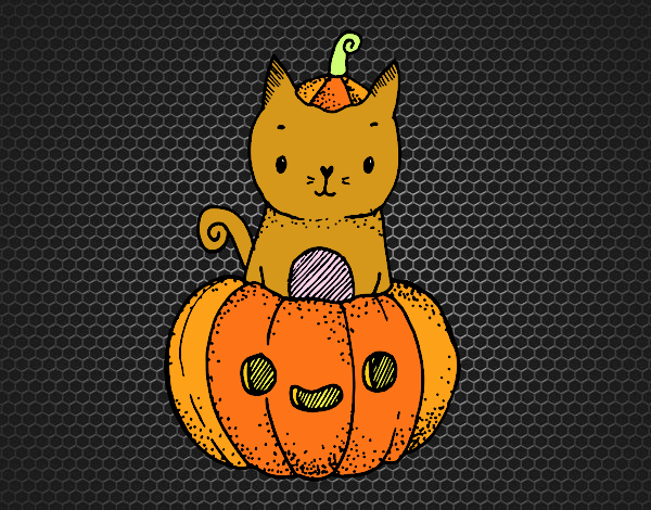 Un gatito de Halloween