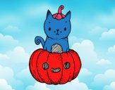 Un gatito de Halloween