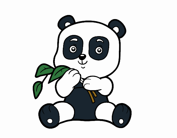 Oso Panda 