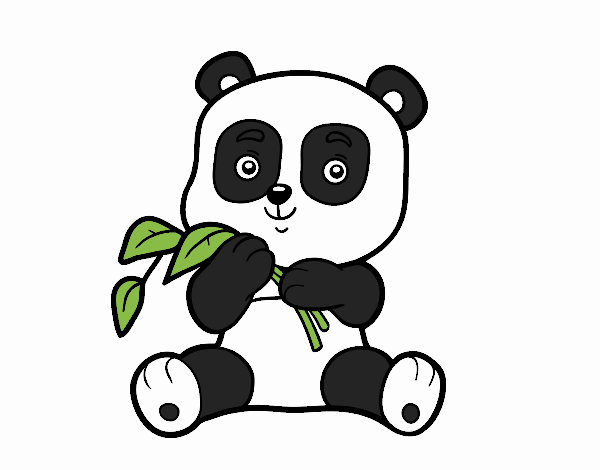 Un oso panda