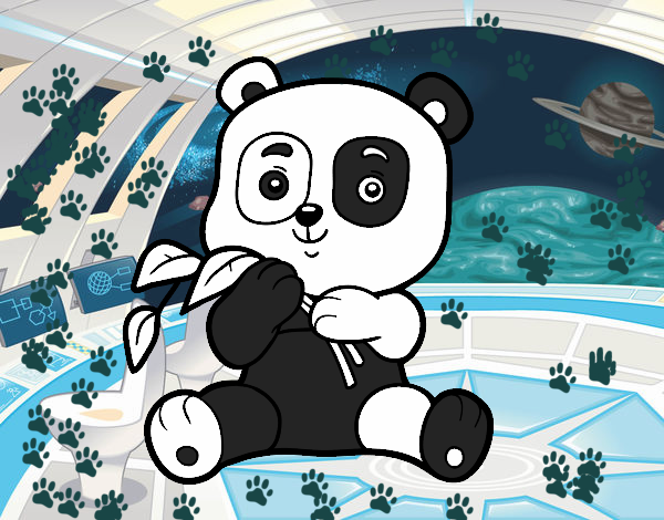 Un oso panda