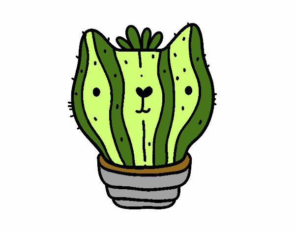 Cactus gato