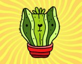 Cactus gato