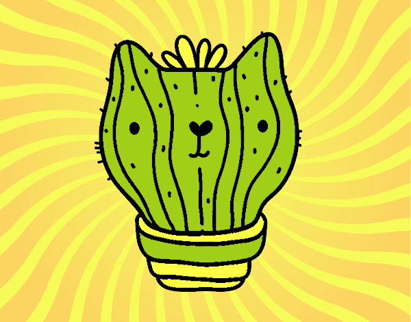 Cactus gato