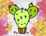 Cactus nopal