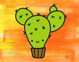 Cactus nopal