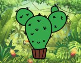 Cactus nopal