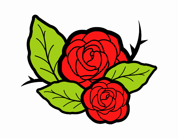 Las dos Rosas