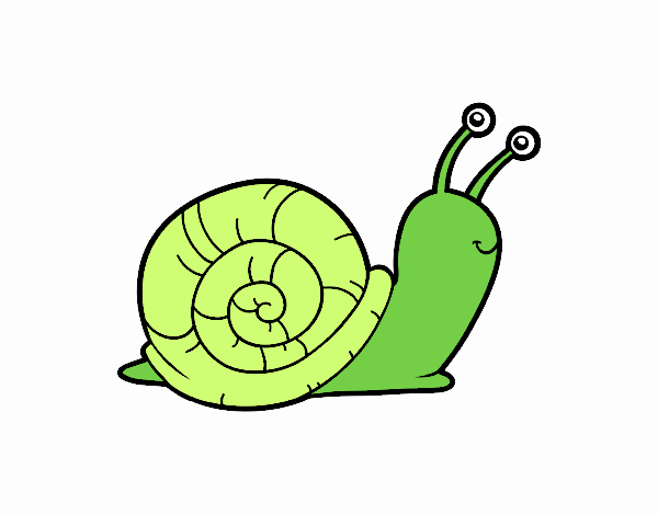 El caracol