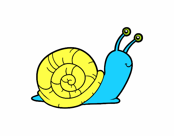 El caracol