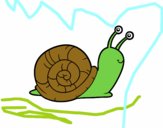 El caracol