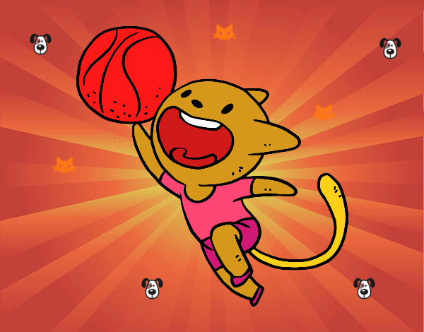 Gato jugando a baloncesto