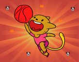 Gato jugando a baloncesto