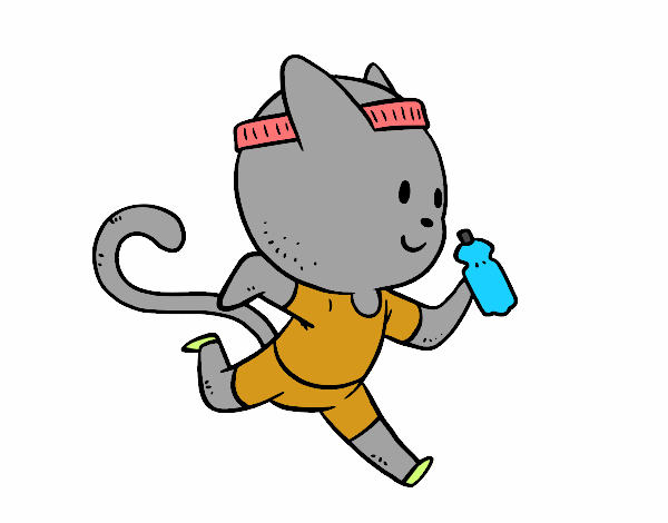 Gato runner