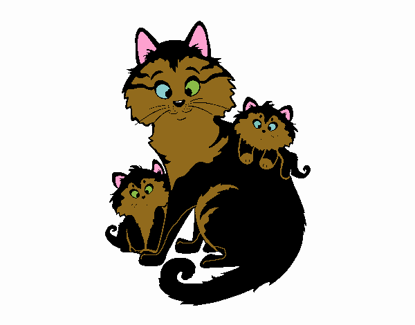 familia de gatitos