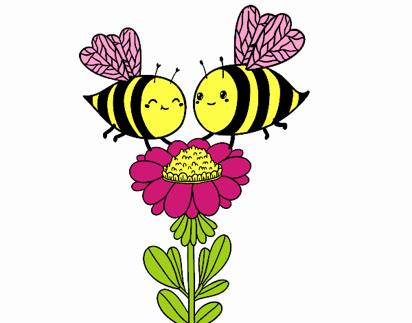 Pareja de abejas