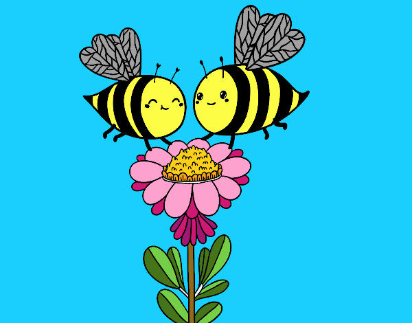 Pareja de abejas