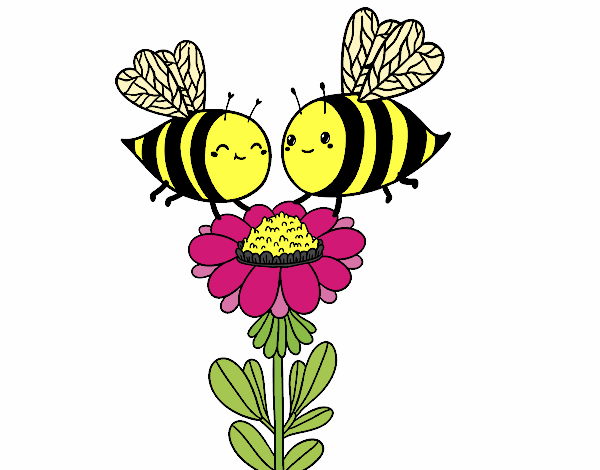 Pareja de abejas