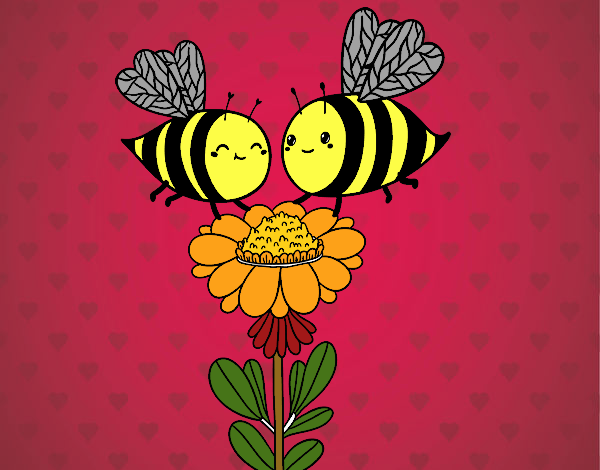 Pareja de abejas