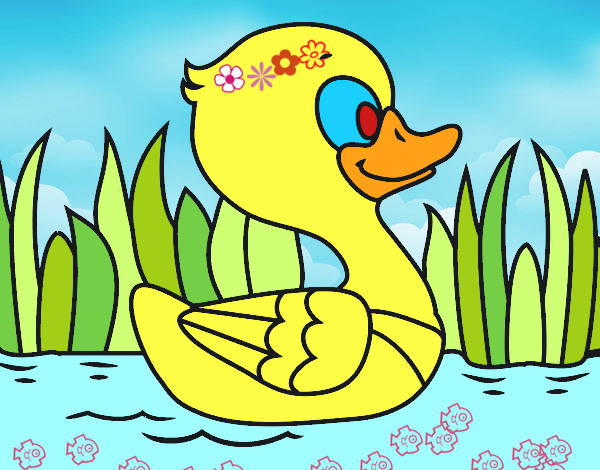 Patito de río