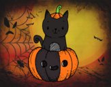 Un gatito de Halloween