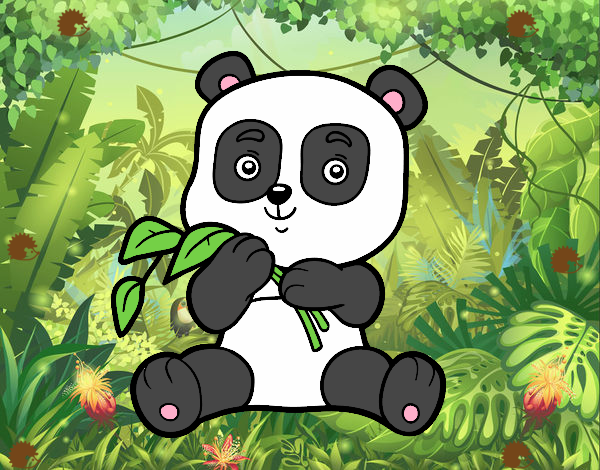 Un oso panda