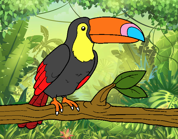 TUCAN