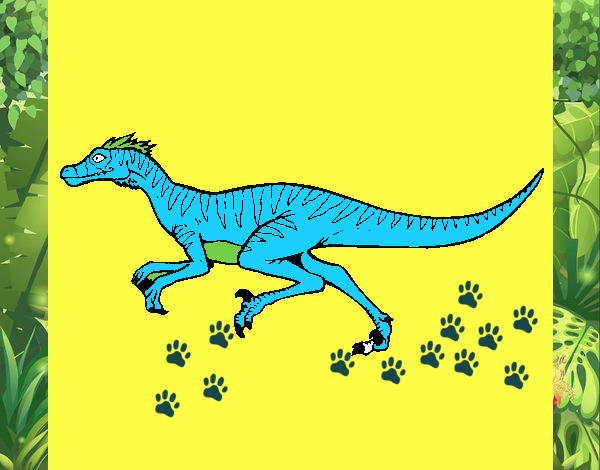 Velociraptor