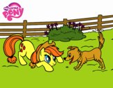 Applejack y Winona