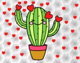 Cactus corazón