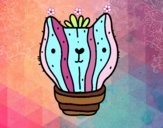 Cactus gato