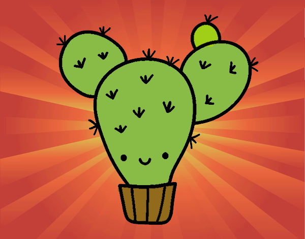 Cactus nopal