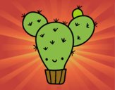 Cactus nopal